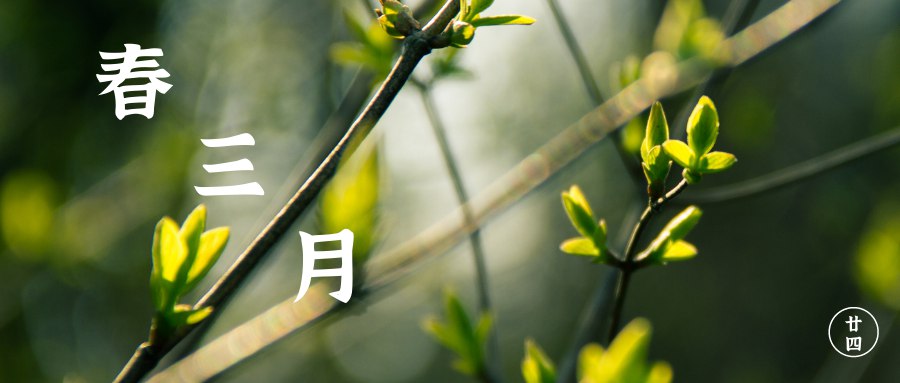 春三月“四气调神”养生要诀