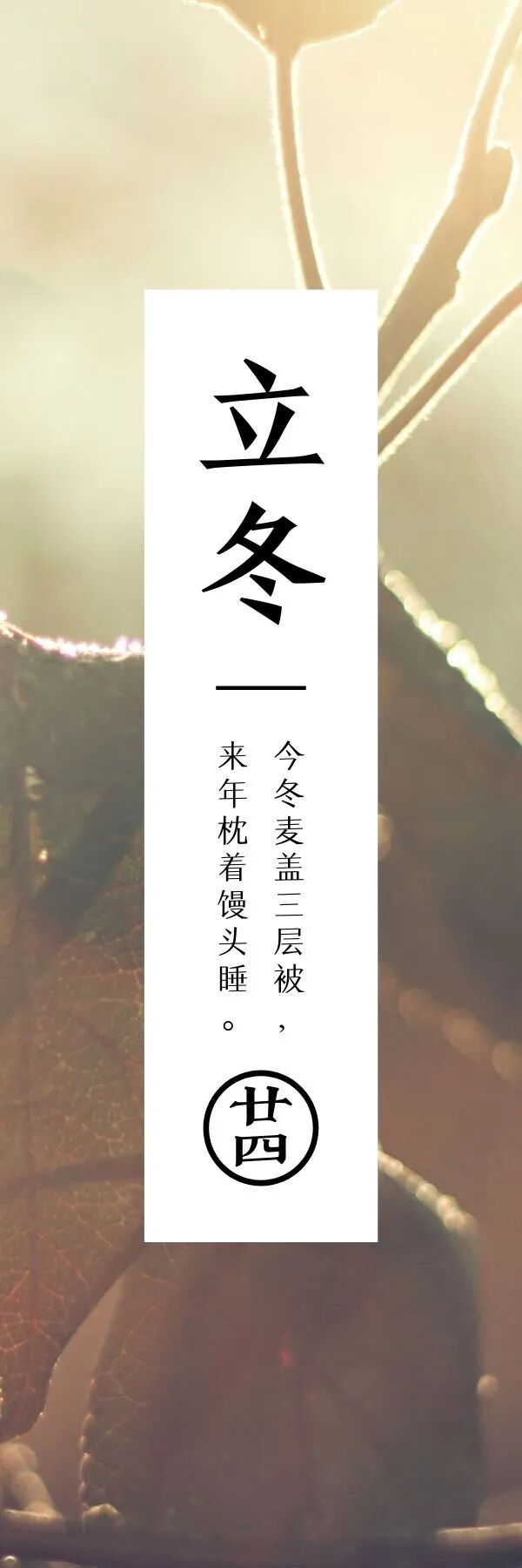 立冬  水泽始冰地始冻