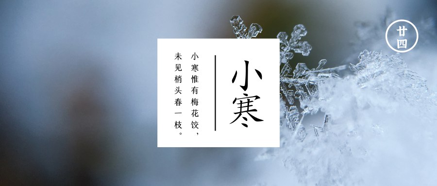 小寒  数九寒天河土封