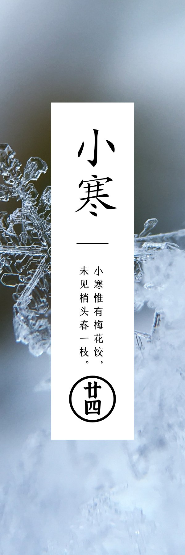 小寒  数九寒天河土封