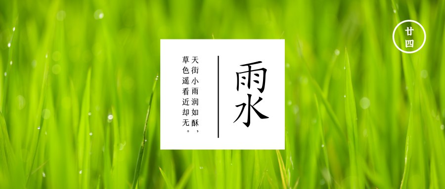 雨水  天街小雨润如酥