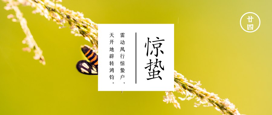 惊蛰  草木萌动地气通