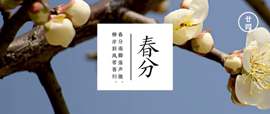 春分  阴阳相半昼夜平