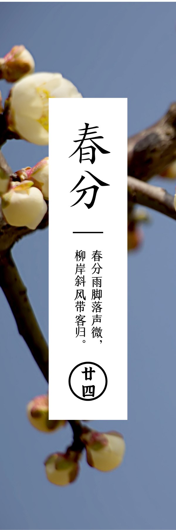 春分  阴阳相半昼夜平