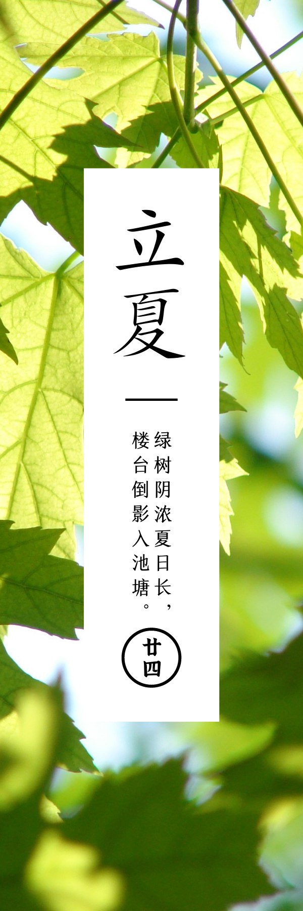 立夏  炎炎夏日始开端