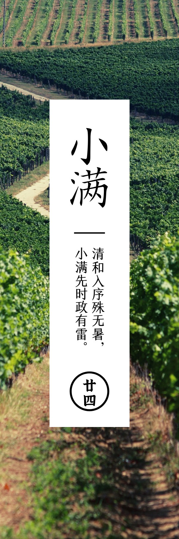 小满  四月中小得盈满