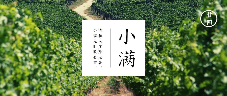 小满  四月中小得盈满