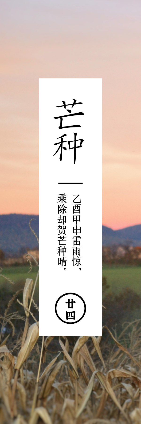 芒种  仲夏农忙颐养心