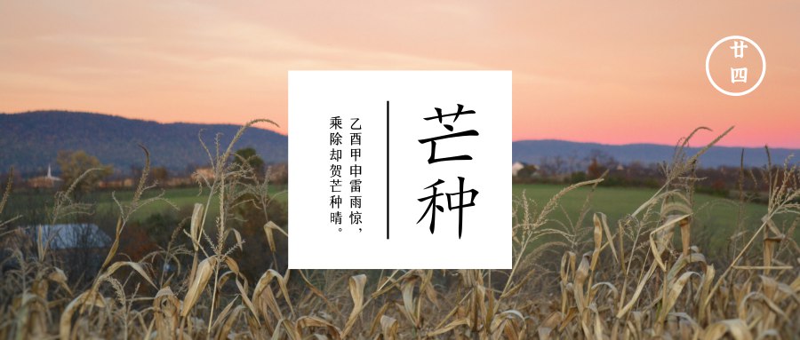 芒种  仲夏农忙颐养心