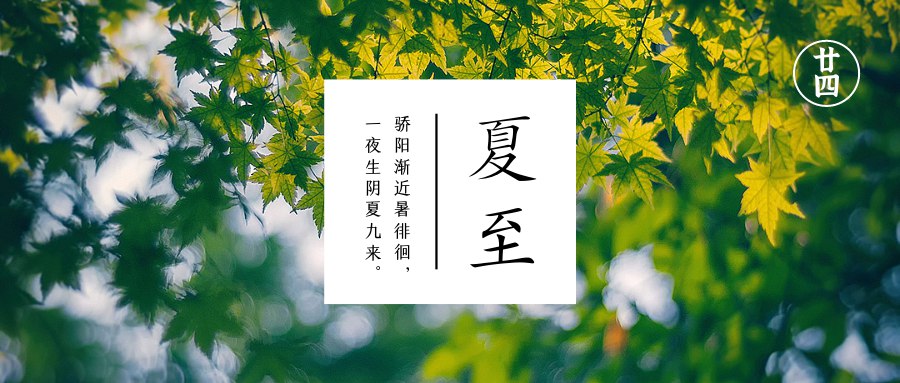 夏至  时夏方长荷散芳