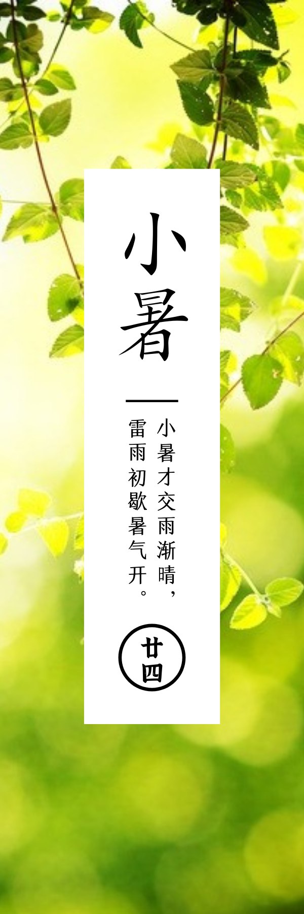 小暑  第一波温风热浪