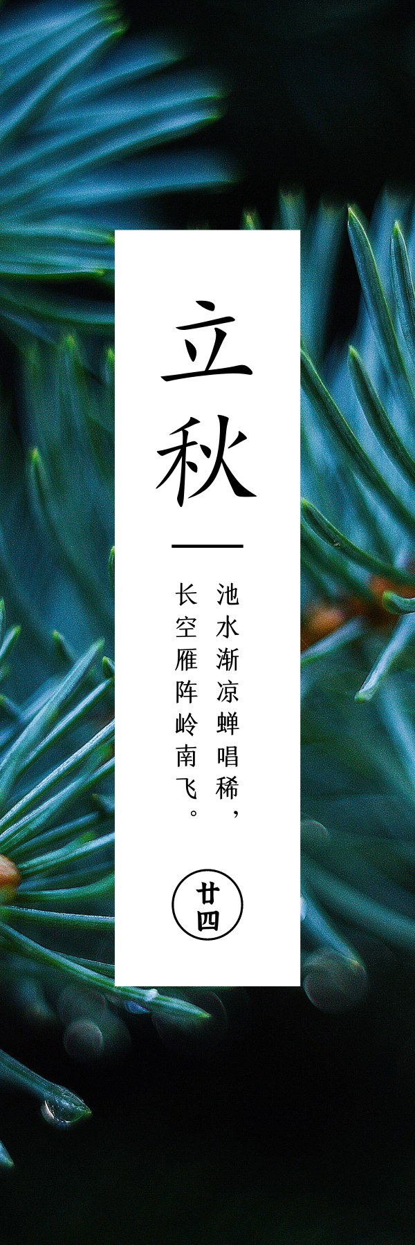 立秋  凉风难起热未减