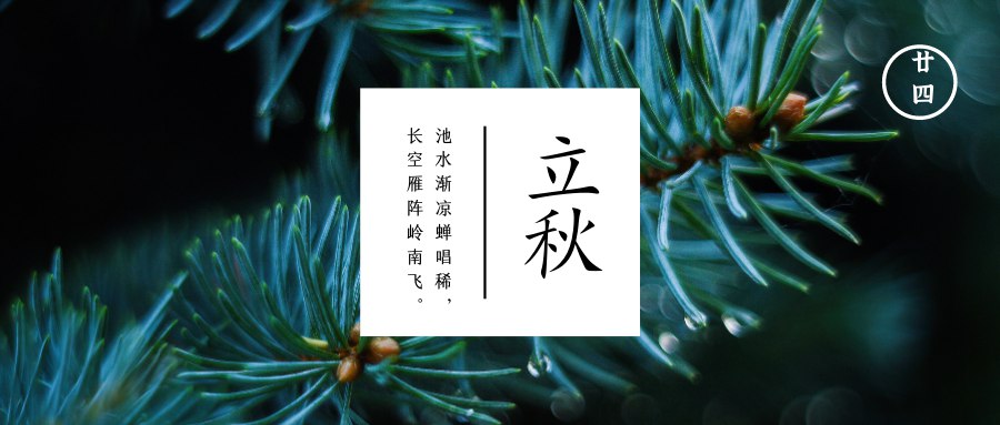 立秋  凉风难起热未减