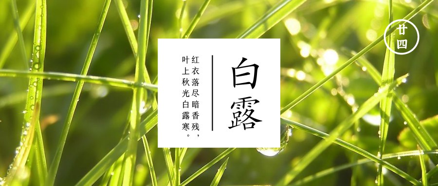 白露  已凉天气未寒时